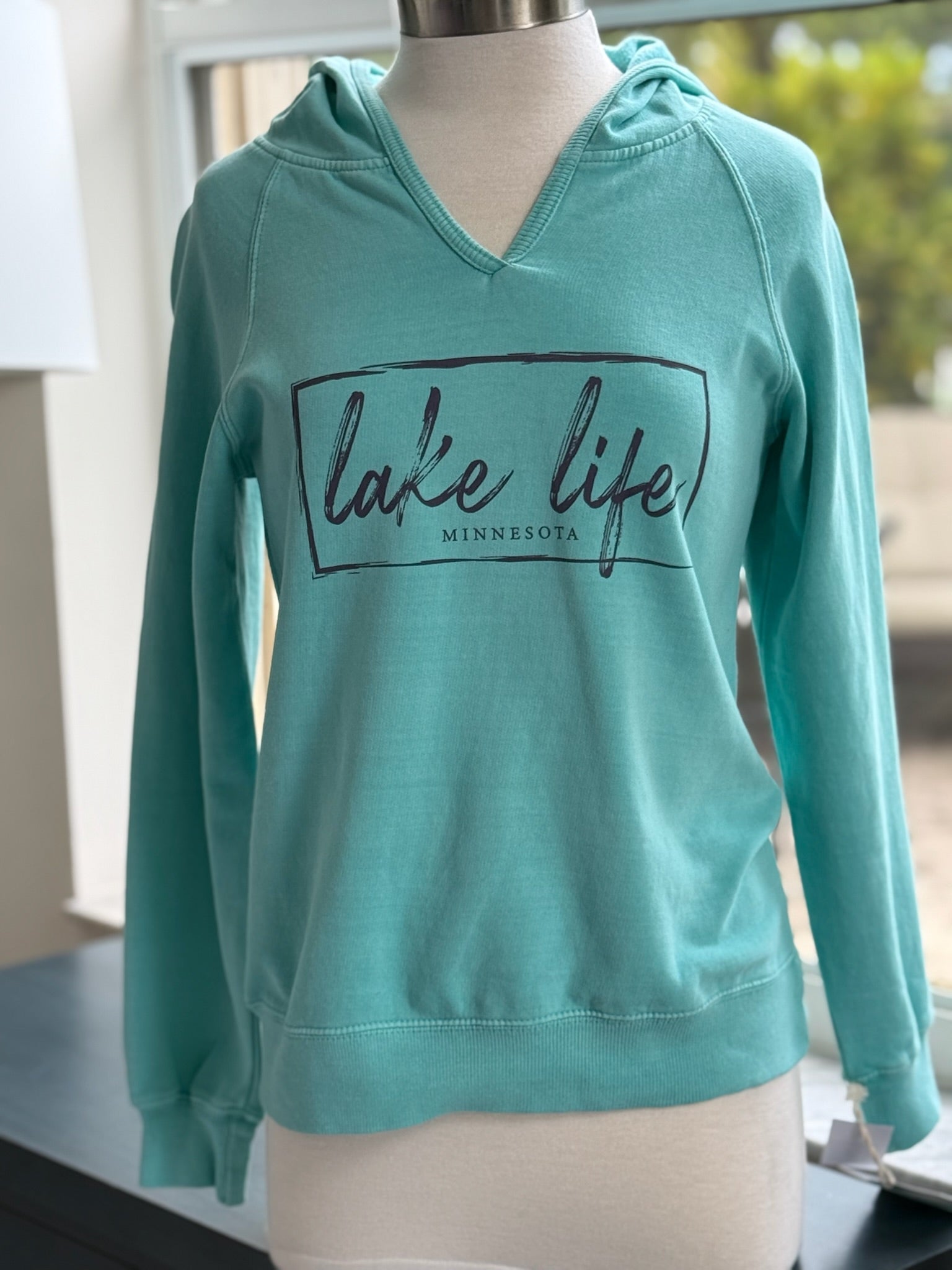 lake life Minnesota hoodie in aqua blue color (front view on mannequin)